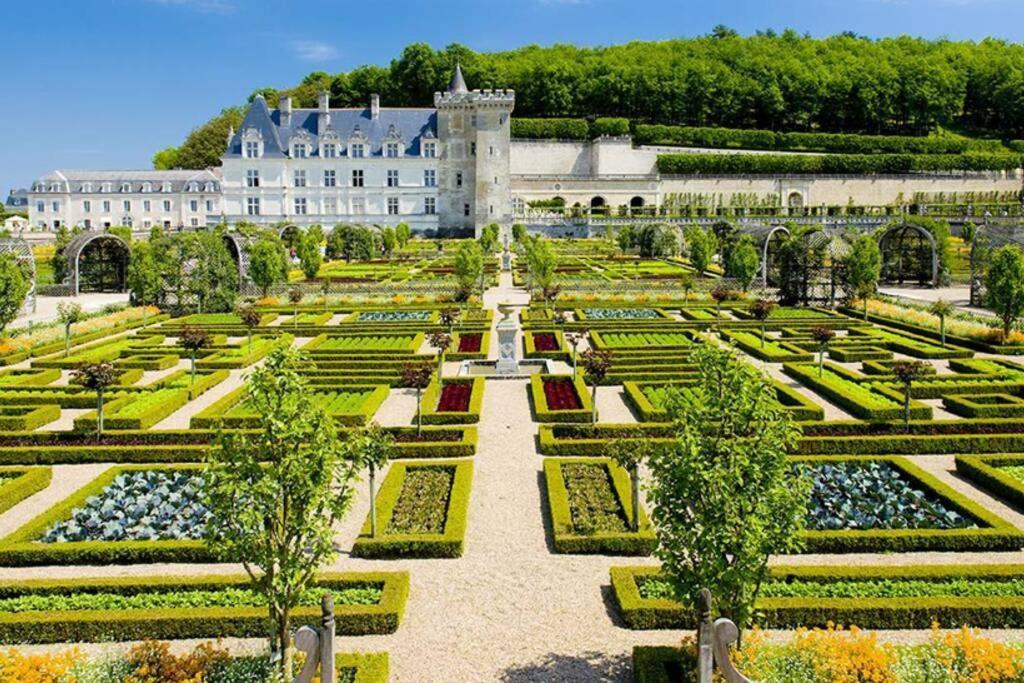 AMALOUYSE Studio de charme au cœur des châteaux de Loire Montlouis-sur-Loire Extérieur photo